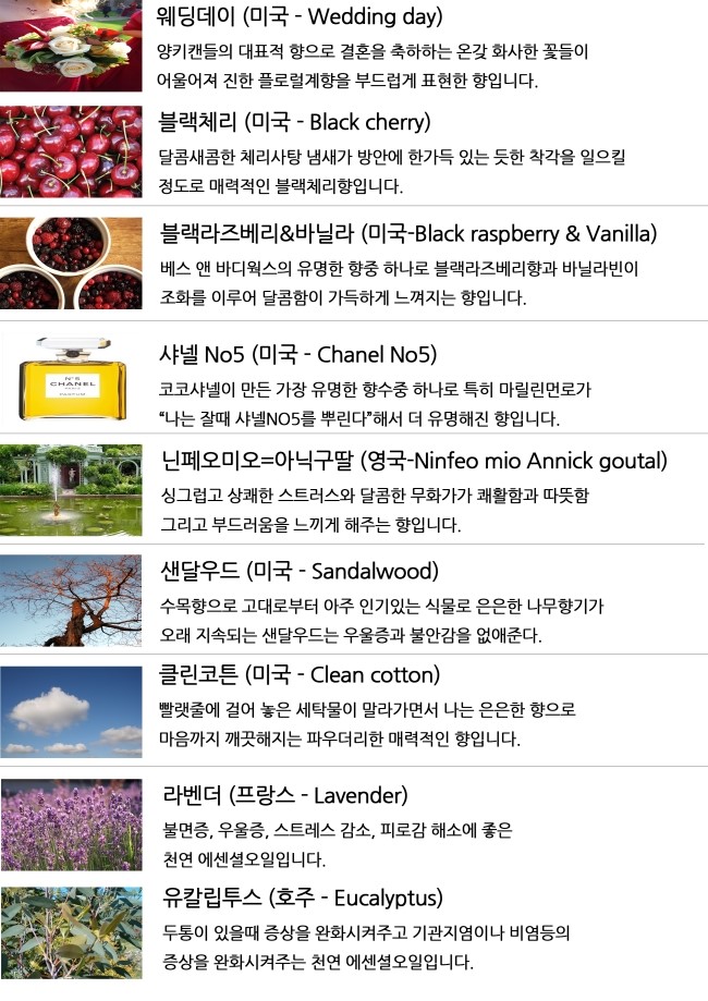 Car Air Freshener Room Mirror Vehicle Diffuser 25m