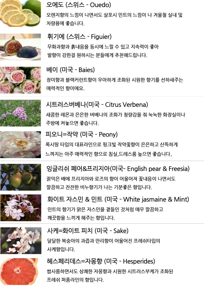 Car Air Freshener Room Mirror Vehicle Diffuser 25m