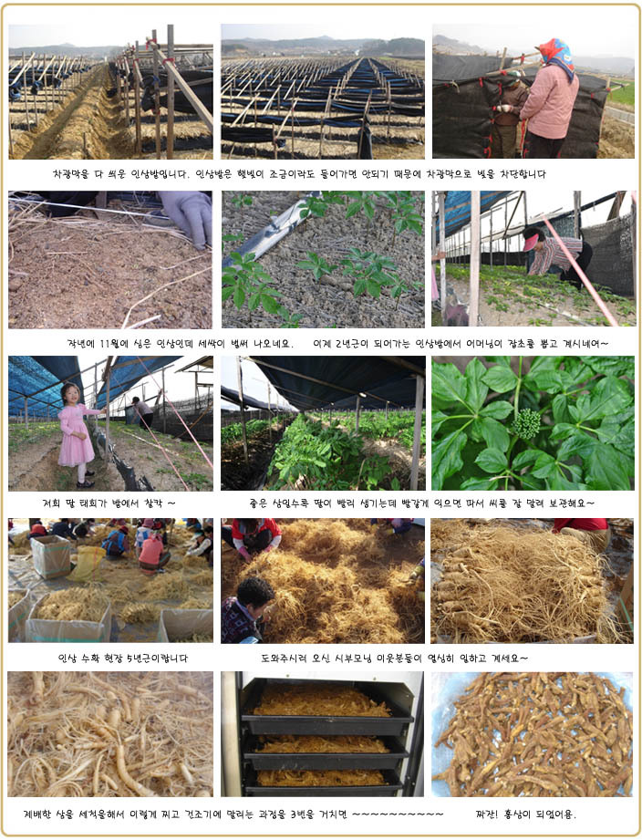 Korea Ginseng Handmade red sea bream and baskets 1