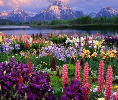 Car Air Freshener 6mm for diffuser car hanger