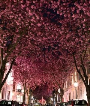 Car Air Freshener 6mm for diffuser car hanger