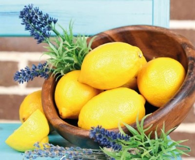 Car Air Freshener 6mm for diffuser car hanger