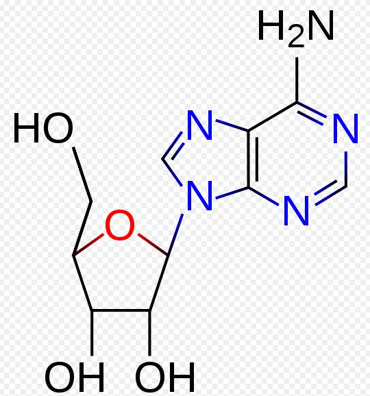 New EGF Ejfef Damage Restoration Cream Repair Eye