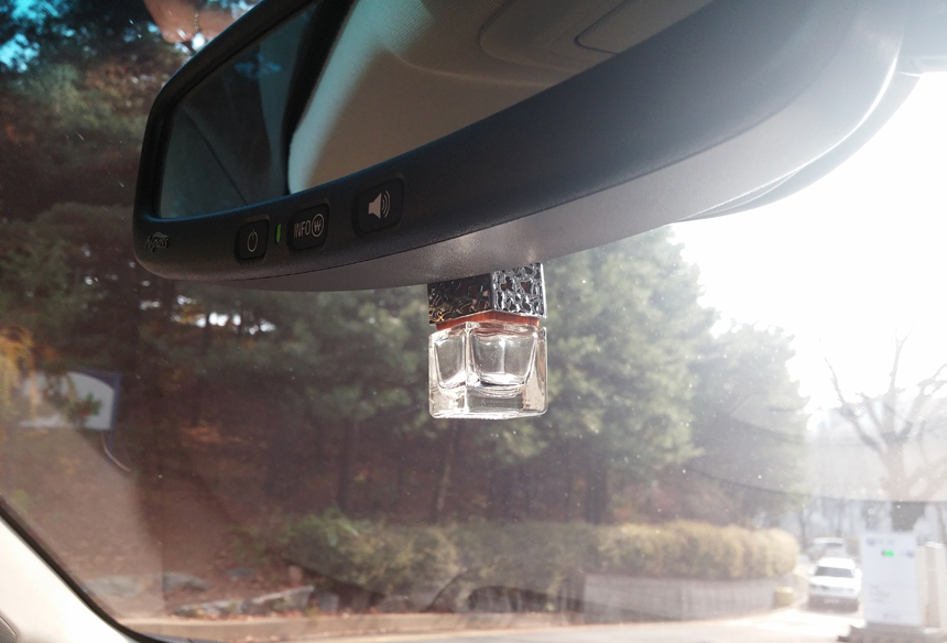 Car Air Freshener Monica Delight Sexy For Men car 