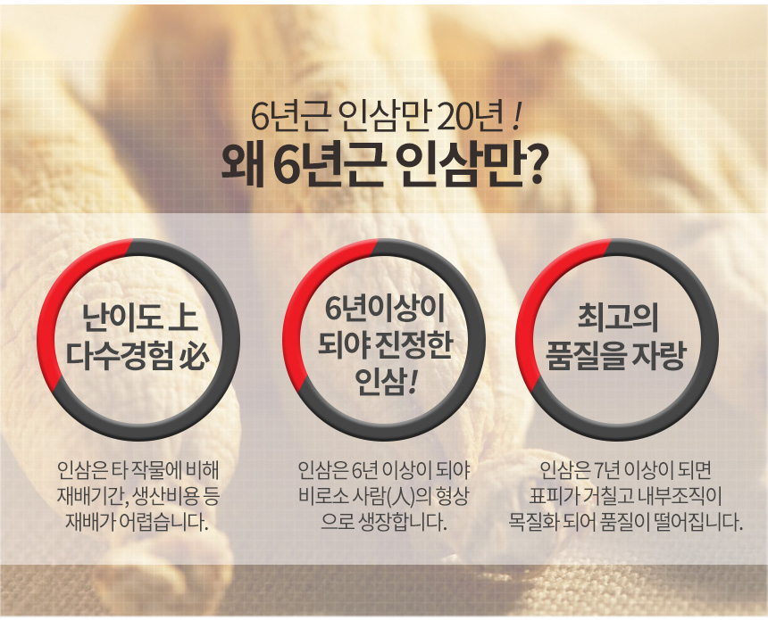 Korea Ginseng Healthy Sam 6 Year Old 100 Red Ginse