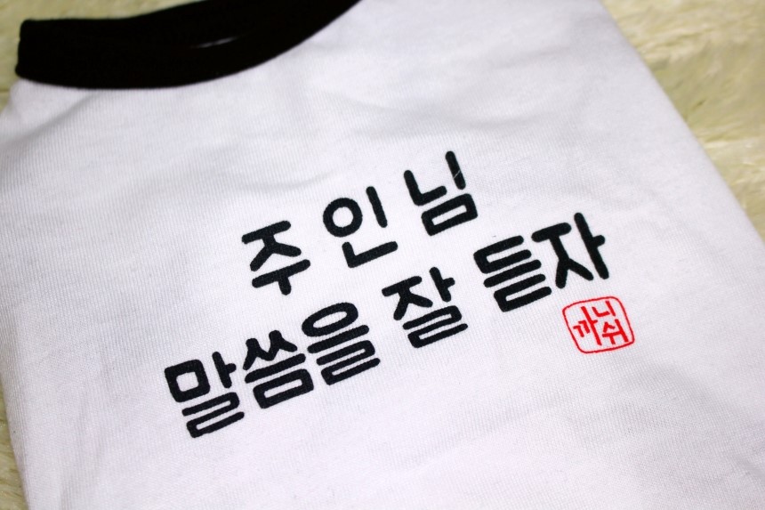 NEW DOG FASHION Puppy hoodie bristle Let's hear