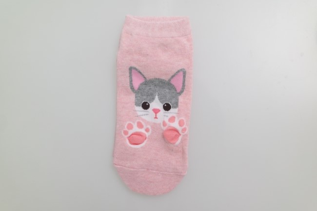 NEW SOCKS COLLECTION 5 character socks animal frie