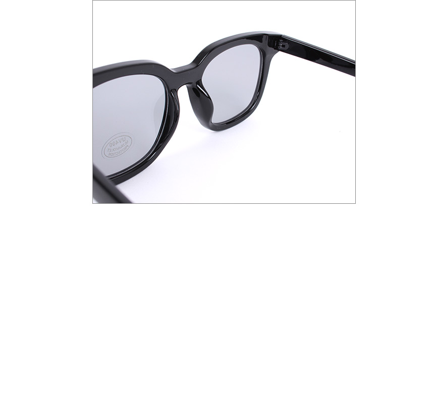 Basic Tint Sunglasses Unisex JE703 Color Lens Reco