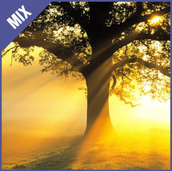 daybreak_1.jpg