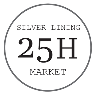 Suede Mary Jane Angle Booty Hill 9cm Ankle Boot Wo