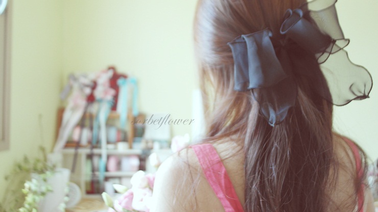 Hair Accessories Ribbon Hairpin Wang Pin Black Hai