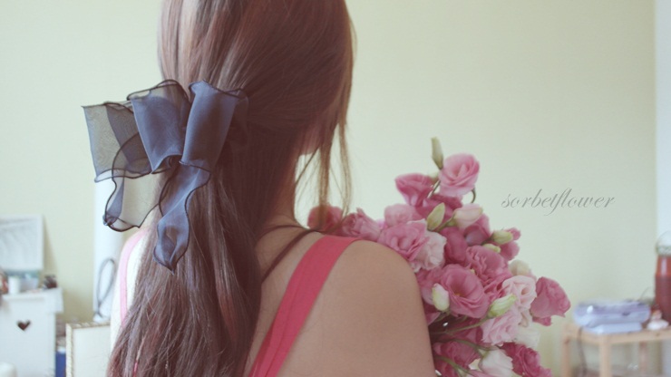 Hair Accessories Ribbon Hairpin Wang Pin Black Hai