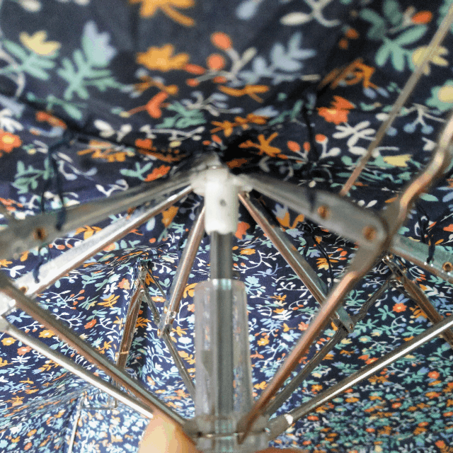 UV Umbrella UV Umbrella 5th 20 umbrellas for the p