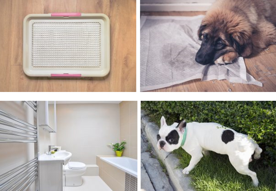 Eco-friendly natural grass puppy toilet bowl Green