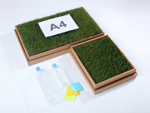 Eco-friendly natural grass puppy toilet bowl Green