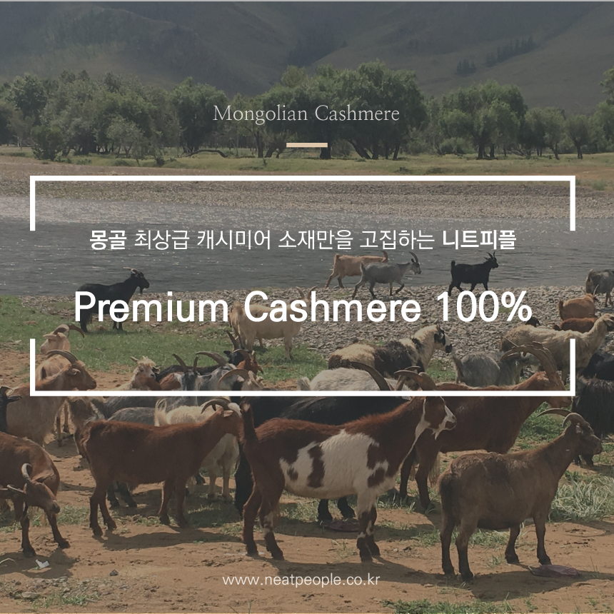 Mongolian Cashmere 100 Scarf Shawl 100