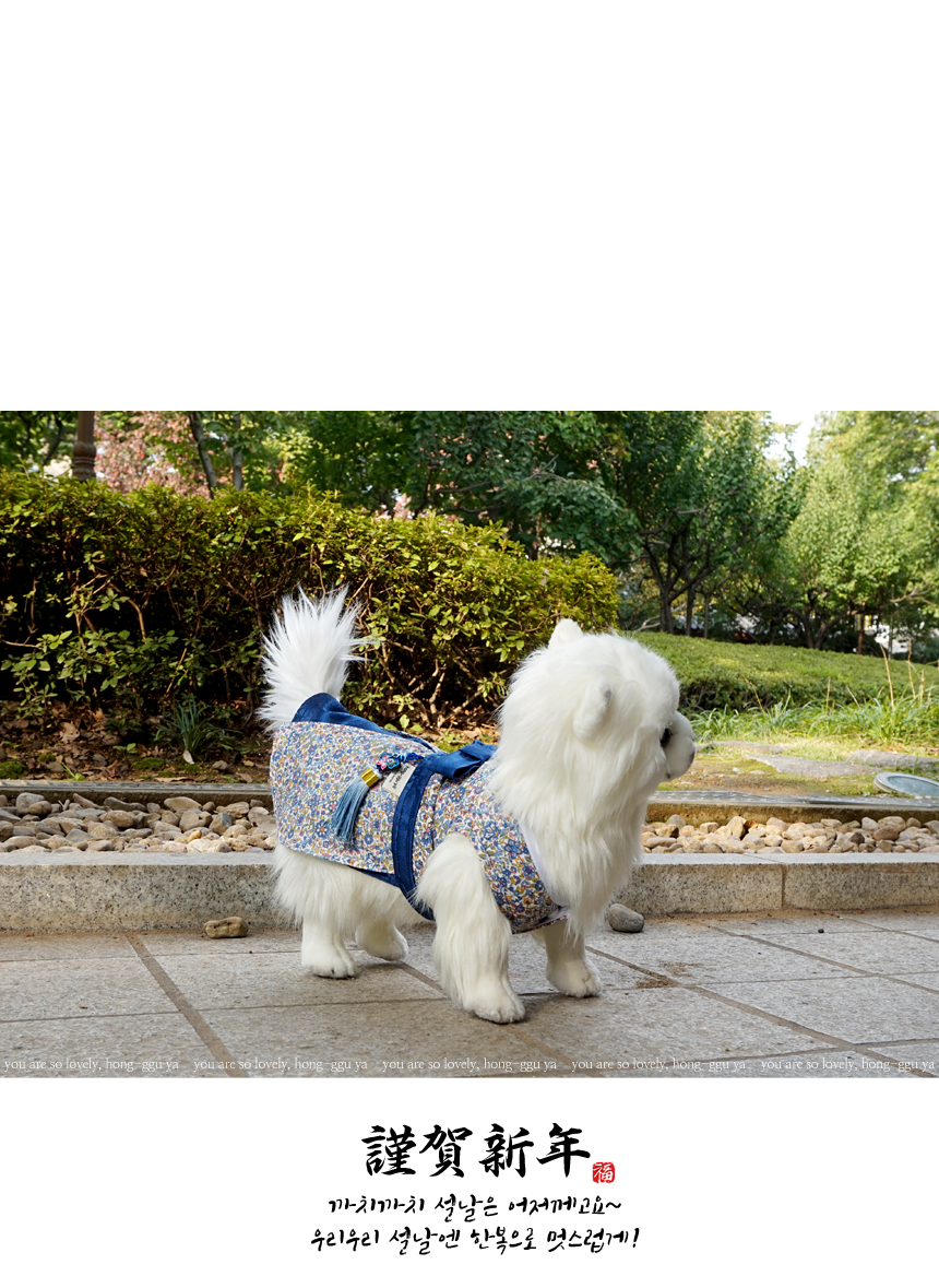NEW DOG FASHION Handmade Puppy Hanbok Cat Blue Lib