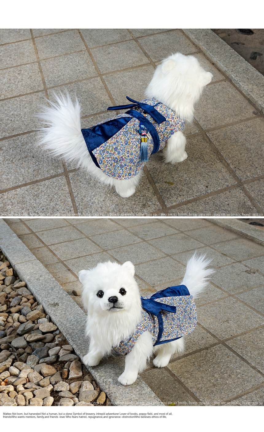 NEW DOG FASHION Handmade Puppy Hanbok Cat Blue Lib