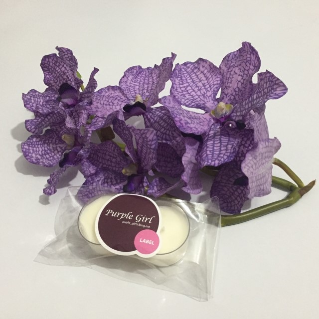 New NOWIRE volume up supporter to collect hidden b