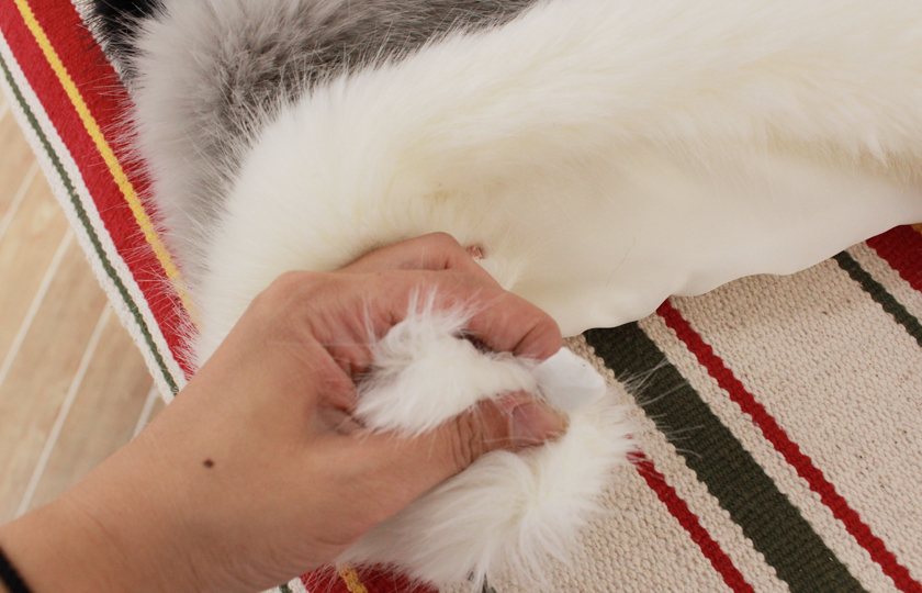 Free Shipping Fox Muffler Fake Fur Fur Fur Shawl M