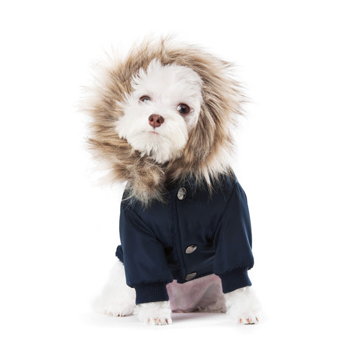 NEW DOG FASHION 2016 Sniffer Poodle Parka Padded P