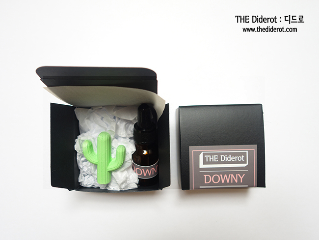 Car Air Freshener Smile, Cactus Car Ornament Gypsu