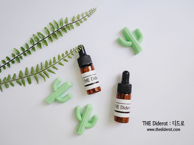 Car Air Freshener Smile, Cactus Car Ornament Gypsu