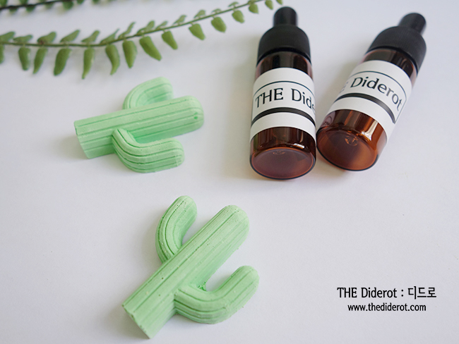 Car Air Freshener Smile, Cactus Car Ornament Gypsu