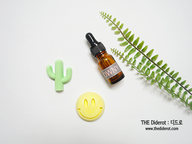 Car Air Freshener Smile, Cactus Car Ornament Gypsu