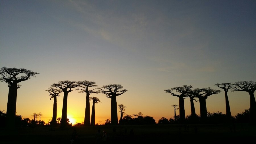 Car Air Freshener Monica Delight Sexy For Men car 