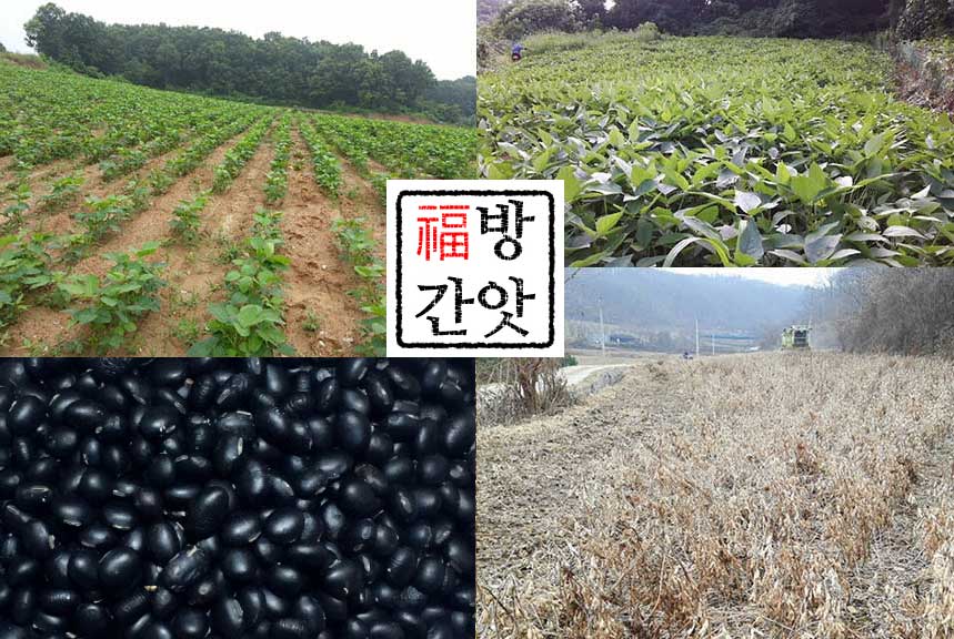 <b><p>Fox-mill Korean Black bs xed grain powder</p></b><b><p>福工場 韓国語 黒豆 ミスト粉 500g 無添加 純粋な穀物 香ばしい味 朝代用食</p></b><br /><br /><p align='center'>