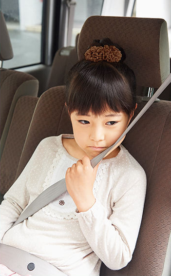 Travel Neck Cushion Car Child Seat Belt Cushion Co