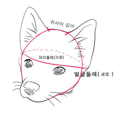 NEW DOG FASHION 3-piece winter fleece cat handmade