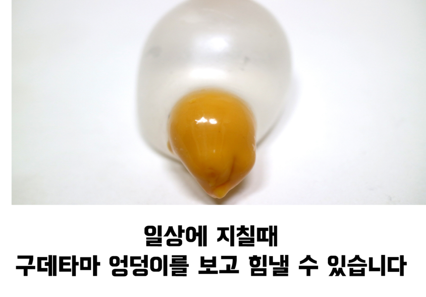 Ogudata figure egg toy character transparent jelly
