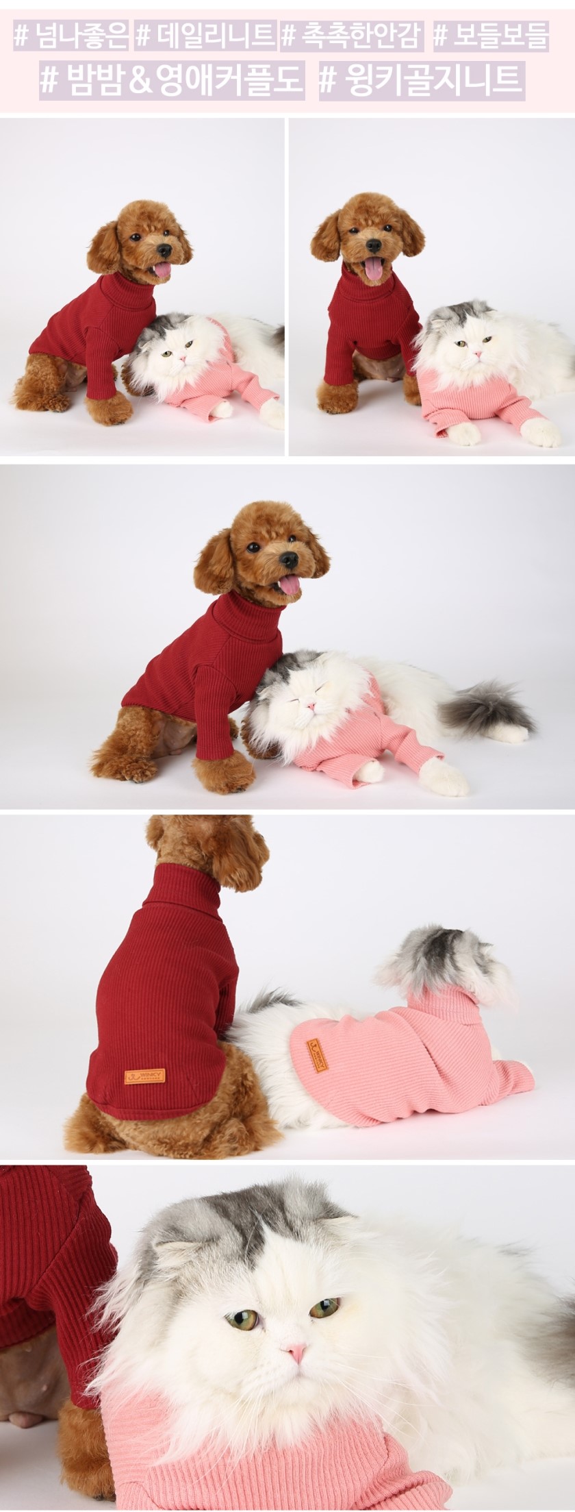 NEW DOG FASHION Winky New York Puppy Winter Wear K