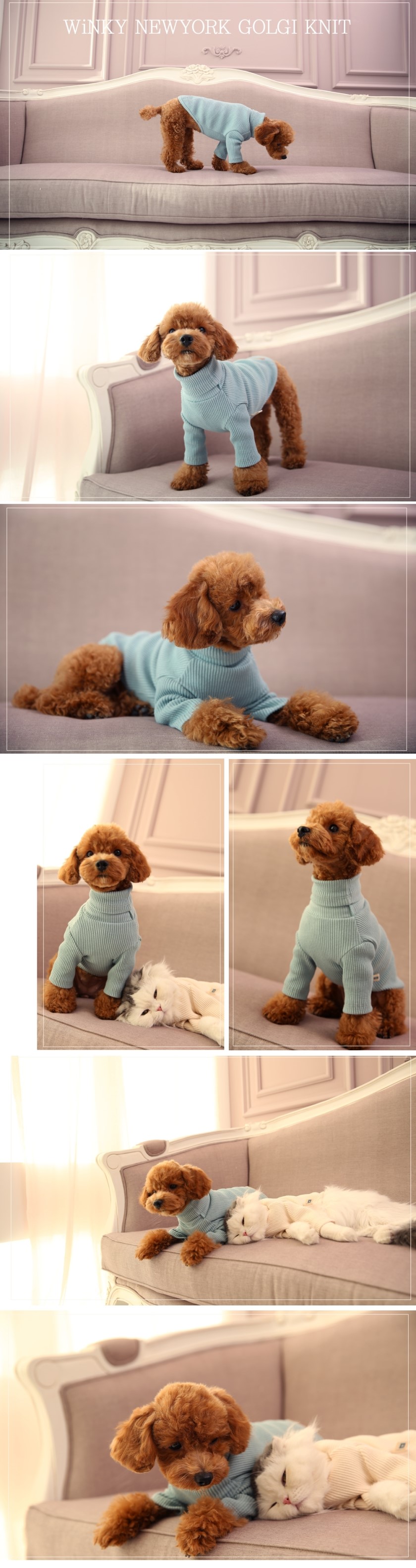 NEW DOG FASHION Winky New York Puppy Winter Wear K