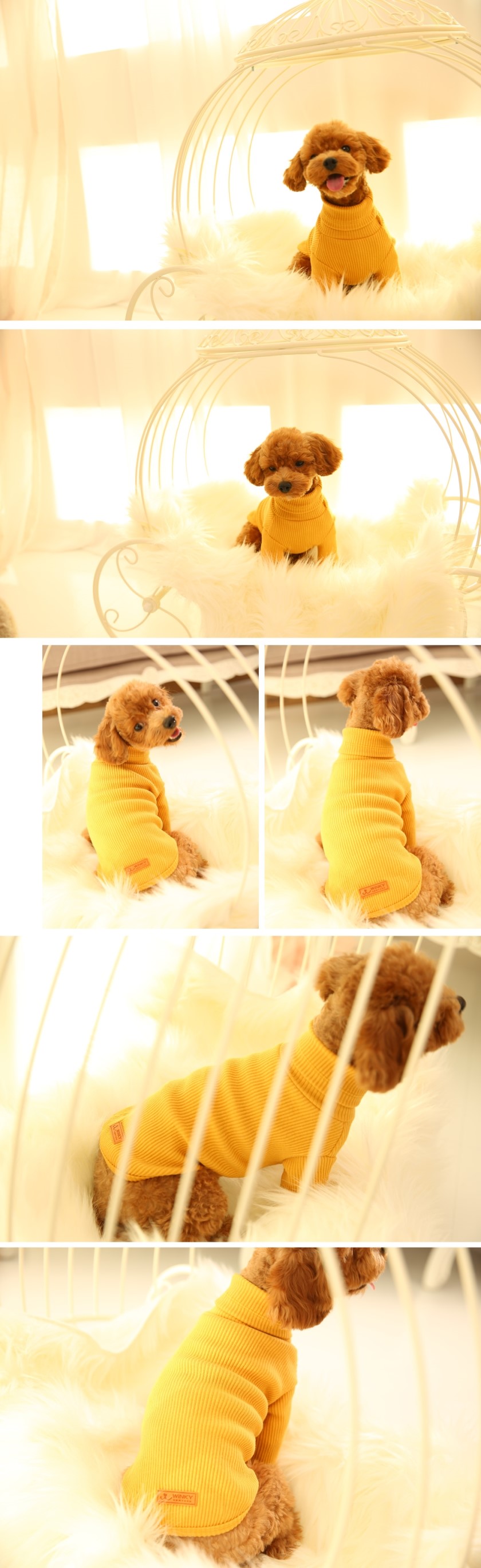 NEW DOG FASHION Winky New York Puppy Winter Wear K