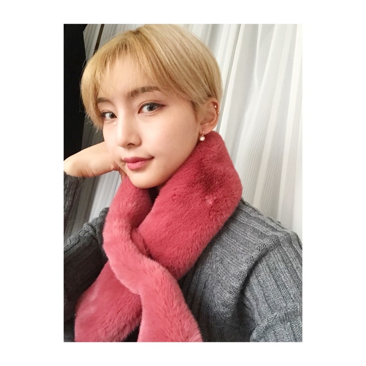 Real eco-like premium Black beige gray color with 