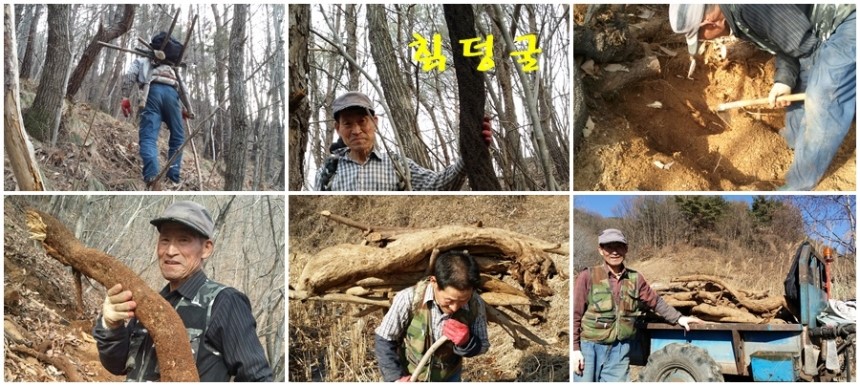 <b><p>Raw juice 120ml Large capacity In menouse</p></b><b><p>センチルジュプ 120ml 大容量 、更年期に 良い 100％ 韓国語 国産 価格</p></b><br /><br /><p align='center'>