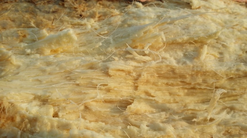 <b><p>Raw juice 120ml Large capacity In menouse</p></b><b><p>センチルジュプ 120ml 大容量 、更年期に 良い 100％ 韓国語 国産 価格</p></b><br /><br /><p align='center'>