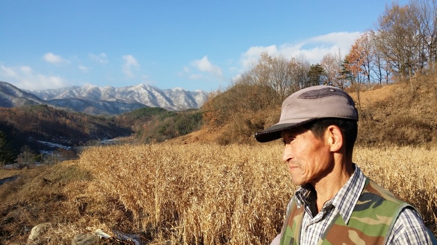 <b><p>Raw juice 120ml Large capacity In menouse</p></b><b><p>センチルジュプ 120ml 大容量 、更年期に 良い 100％ 韓国語 国産 価格</p></b><br /><br /><p align='center'>