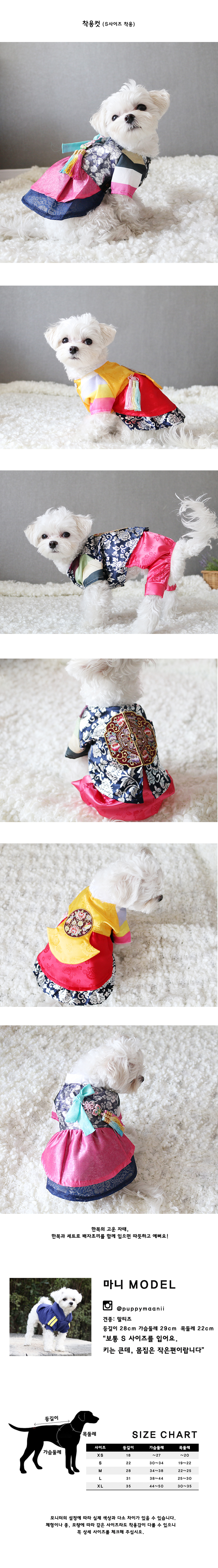 NEW DOG FASHION Soul Bean Hanbok 03, Puppy Hanbok,