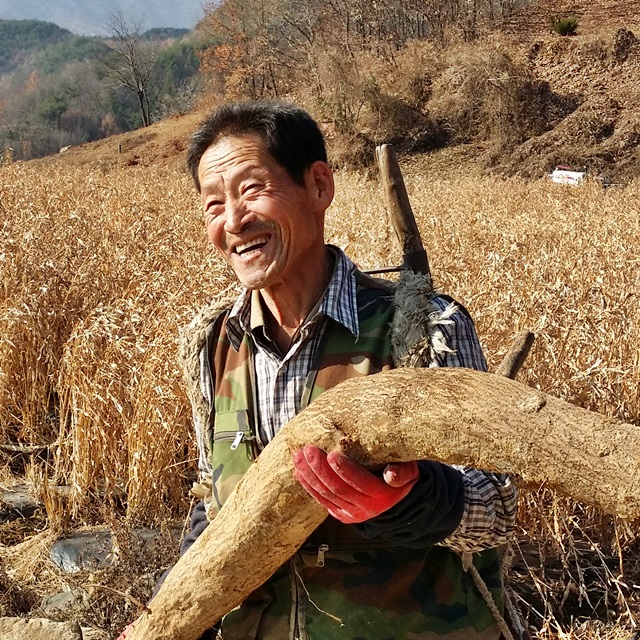 <b><p>Raw juice 120ml Large capacity In menouse</p></b><b><p>センチルジュプ 120ml 大容量 、更年期に 良い 100％ 韓国語 国産 価格</p></b><br /><br /><p align='center'>