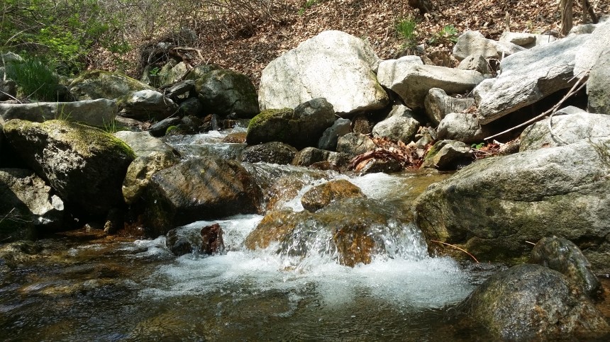 <b><p>Raw juice 120ml Large capacity In menouse</p></b><b><p>センチルジュプ 120ml 大容量 、更年期に 良い 100％ 韓国語 国産 価格</p></b><br /><br /><p align='center'>