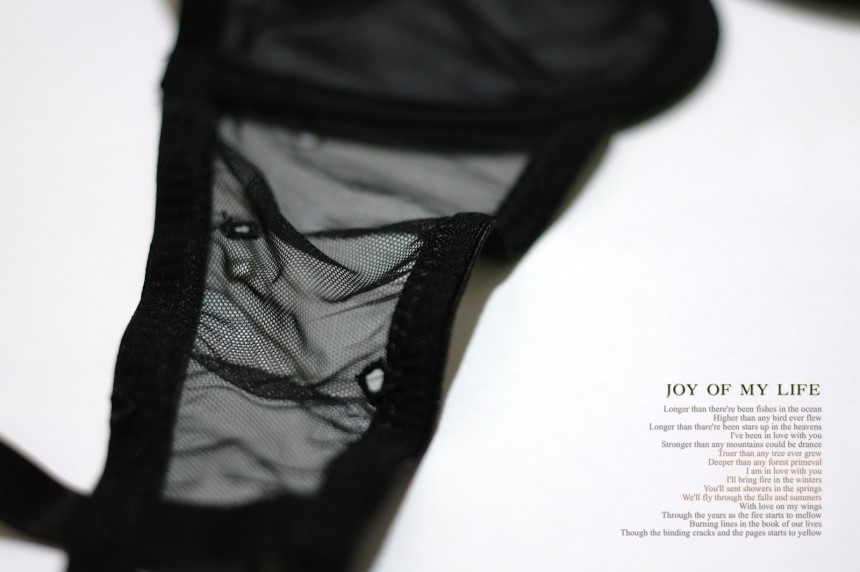 Single-breasted brassiere Shiruret panties set Bra