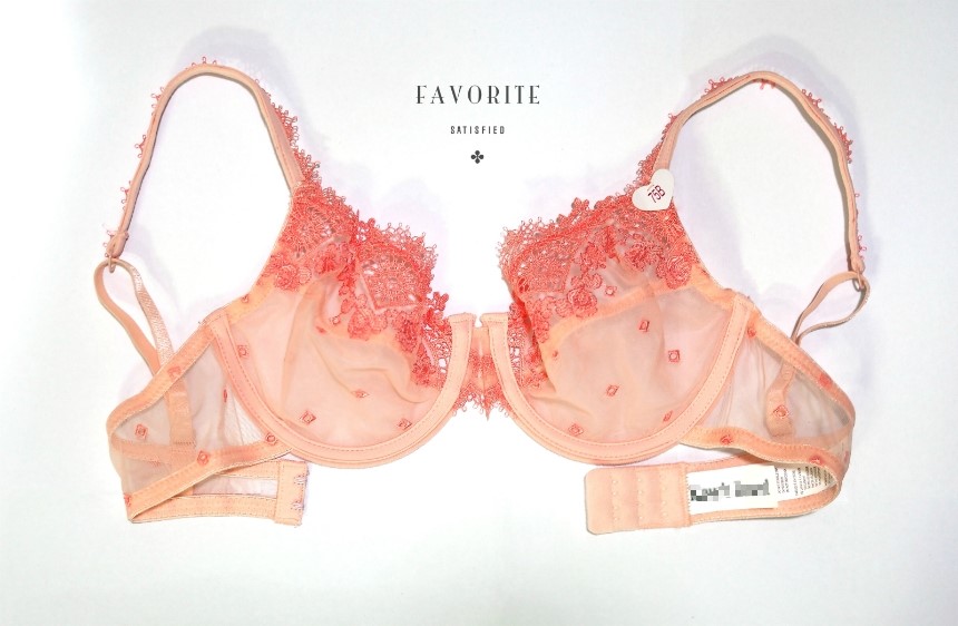 Single-breasted brassiere Shiruret panties set Bra