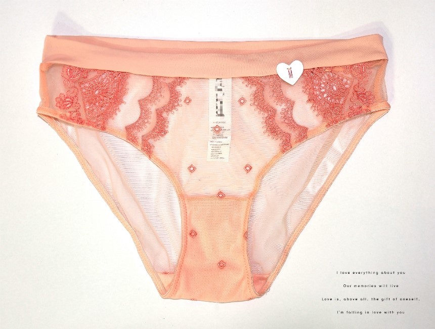 Single-breasted brassiere Shiruret panties set Bra