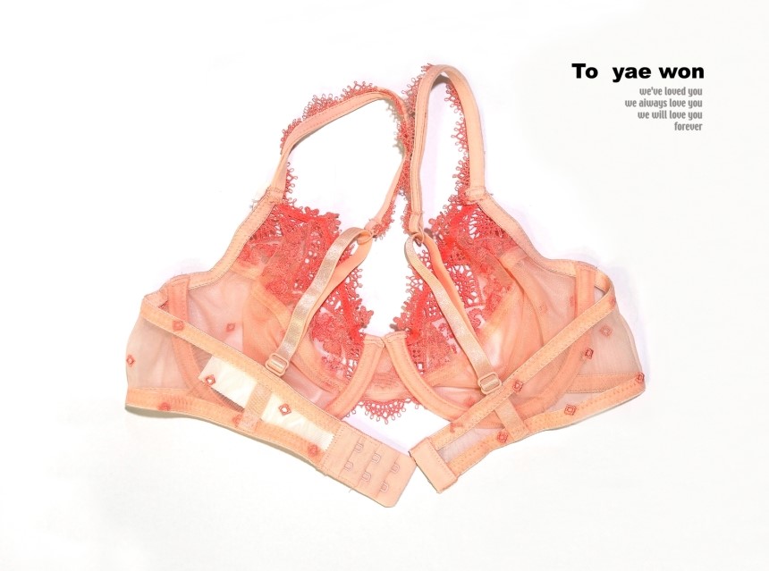 Single-breasted brassiere Shiruret panties set Bra