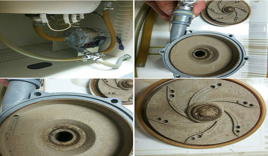 Korea Ginseng Red ginseng 100% 6 year old handmade