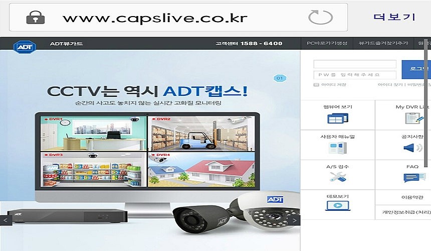 Korea Ginseng Red ginseng 100% 6 year old handmade